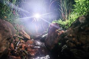 BIB: 
                            <button type="button" onclick="openModal(26413717)" class="btn btn-primary btn-sm float-right btn-popup" data-toggle="modal" data-target=".modal-high-quality">
                        <i class="fas fa-shopping-cart"></i> Add to Cart
                    </button>
                                            <button type="button" onclick="isThisMe(26413717, true)" class="btn btn-success btn-sm float-right btn-popup btn-isme hidden" data-toggle="tooltip" data-placement="bottom" title="นี่คือรูปของคุณใช่ไหม คลิกที่นี่เพื่อเอาเข้าอัลบั้ม">
                        <i class="fas fa-plus"></i> Add to album
                    </button>
                    <button type="button" onclick="isThisMe(26413717, false)" class="btn btn-warning btn-sm float-right btn-popup btn-isnotme hidden">
                        <i class="fas fa-ban"></i> Remove from album
                    </button>